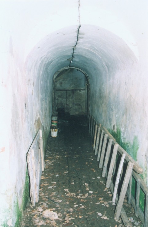 Puckoriu_a_viln_pucko_009-97bb9811c6300f9b8dea9ea3096185b7.jpg