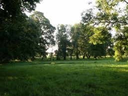 Puniskos_a_vilk_puni_017-8da0869e2f71ee04bc878f3bd80b622c.JPG