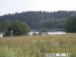 Punzioniu_a_sven_punzion_021-94608b2f5af15e7aa652802f1f8200fe.JPG