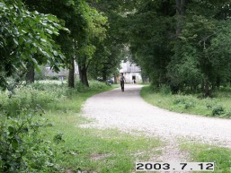 Punzoniu_a_viln_punzon_024-cdba92f696c7181a290736655bac740f.JPG