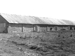 Raguveles_a_anyk_raguv_053-8ef8227945ee77a0d9f9e1311d29882d.jpg