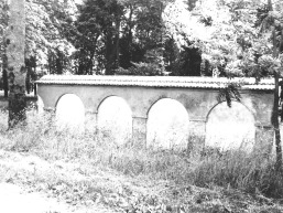 Raguveles_a_anyk_raguv_059-5d383ef5548e62be68dffeee0b8ff83d.jpg