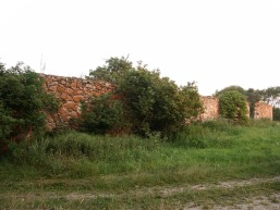 Rasiu_a_vilk_rasi_058-325e2277f1bb04c7e4b9a4ebc234b559.JPG