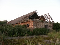 Rasiu_a_vilk_rasi_072-88ec860d00a7b10a1b96ac8699be4def.JPG