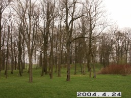 Raudondvario-2_a_radv_raudon_104-4a2763d17142be02981b2eddd102bb14.JPG