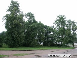 Raudondvario-Gulbinu_a_viln_raudondvgulb_085-2760733b74cb6c4ba4c8173c93fa75f9.JPG