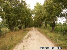 Raudonpamuses_a_pasv_raudon_092-492d83c0350cd94a9ea5f6b24a303e2d.JPG