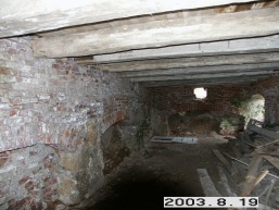 Raudonpamuses_a_pasv_raudon_096-62f0c479d0325524788bd2e28935d9b3.JPG