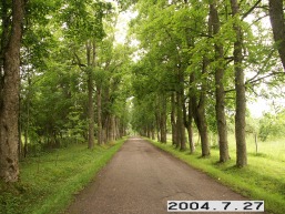 Renavo_a_maze_rena_001-0658f5babc0da430b01a4d9973c07697.JPG