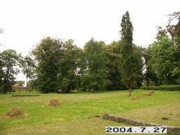 Renavo_a_maze_rena_004-5df4a8995b38bc763ddcfa93a4eb4d2b.JPG
