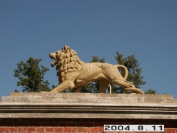 Rietavo_a_plun_riet_036-39bc9490dcfc33c1acb8546b723bd722.JPG