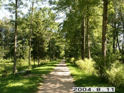 Rietavo_a_plun_riet_073-5aa8b69ec36fdc441577d9b9922c70b2.JPG