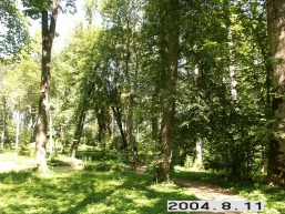 Rietavo_a_plun_riet_075-25135f5926a2edd831492b9085cba316.JPG