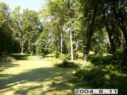 Rietavo_a_plun_riet_076-7955dd5b99bc52207dc231ecb6961b40.JPG