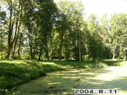 Rietavo_a_plun_riet_077-afce3720b0ba7fac2266a8b47d88e62f.JPG