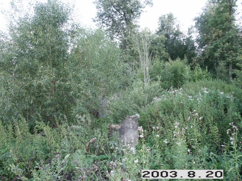 Rindaugu_a_birz_rindaudvar_084-feeec4fa538d07be74234d7aeac90986.JPG