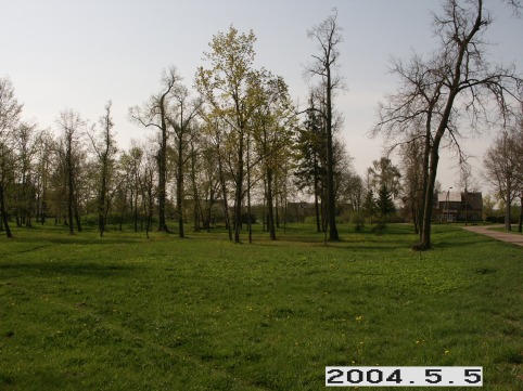 Ringuvenu-II_a_siau_ring2_033-c8d75cf58c935693428ff7b9b6854388.JPG