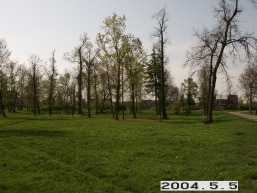 Ringuvenu-II_a_siau_ring2_033-db622c16327e32b2a46a8abf49713d89.JPG
