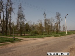 Ringuvenu-II_a_siau_ring2_034-cacc0a94fce001c15f4288e06efbf9b0.JPG