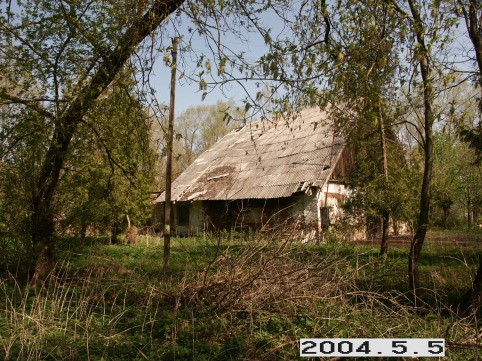 Ringuvenu-I_a_siau_ring1_037-b41cefb25a7cc84699457f3edf3925d0.JPG