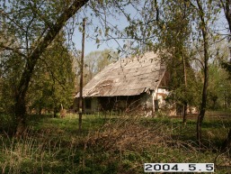 Ringuvenu-I_a_siau_ring1_037-db901276777c7bd478772638ed3dc6db.JPG