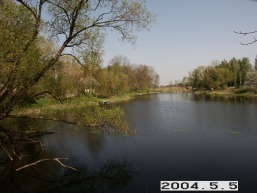 Ringuvenu-I_a_siau_ring1_040-d7a87d14f074d6d248389e8347b3b7aa.JPG