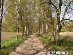 Ringuvenu-I_a_siau_ring1_041-7756d46883e5716200e1891a3237f37e.JPG