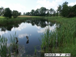 Rodomisles_a_prie_rodom_012-6727078b08f49363f2e2a7b6853f83e6.JPG