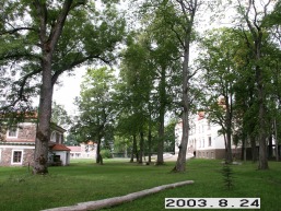 Rokiskio_a_roki_rokis_091-0ea9d9e76a4fd79e511da6ca67b06171.JPG