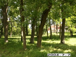Rudaminos_a_lazd_ruda_018-952a0b2071e9cee12f673af7fa25e506.JPG