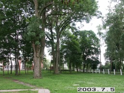 Salcininku_a_salc_salcinink_003-d5c82d5eaf1afdbd0ad06f58be103384.JPG