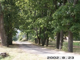 Saldutiskio_a_uten_saldu_003-23ce65cee73ede90562ec1c454a39c56.jpg