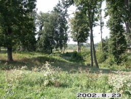 Saldutiskio_a_uten_saldu_011-687409a319d0e90d399add0c93beafd6.jpg
