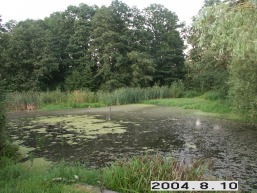 Samaliskes_a_klai_sama_110-f018caae273b16ab9493afe9053487cf.JPG