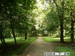 Sateikiu_a_plun_sate_003-b1ca130972cc992638d7bdb8bbaf70f4.JPG