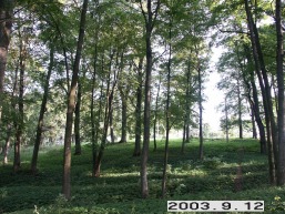 Sateniu_a_keda_saten_047-e99e2120f2953ac8ab5571b6c9c06475.JPG