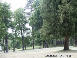 Sesuoleliu-I_a_sirv_sesuolel1_059-5aaf1cd64d196f93b5a825a4ac121b78.JPG