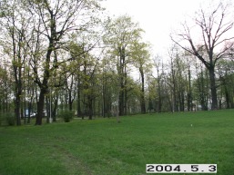 Siauliu-Didziadvaris_a_siau_siau_029-9c3a3cb96e3586f467e52e4bed914ac7.JPG
