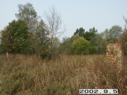 Siesarties_a_mole_sies_001-3a0603f90e5bdb792fea53343397f44b.jpg