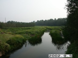 Siesarties_a_mole_sies_004-d00001fac4956403f952e73cd54e3e85.jpg