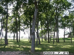 Siesiku-Daugailiu_a_ukme_siesik_028-0b22704deb273a00d7b74a9352c2407c.JPG