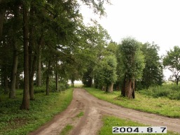 Silgaliu_a_silu_sila_041-14e0d59a0991c78447635b198b89eba0.JPG