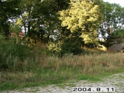Silutes-Sojaus_a_silu_silu_035-a0d51582dfccc1c11b541d43e29c3b04.JPG