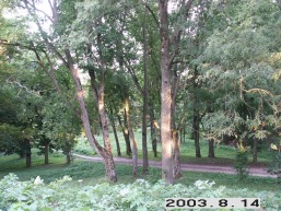Sirutiskio_a_keda_sirutis_048-5e8056b2c70c02426fc5cf51ed92f559.JPG
