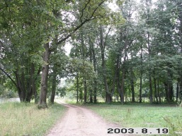 Skilinpamusio_a_pasv_skilin_028-3c3af350229a76f5e3e49fd181901a1f.JPG