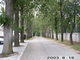 Skilinpamusio_a_pasv_skilin_029-06a6e47b16ef94baf0f343db93218213.JPG
