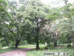 Sliziu_a_ukme_sliz_029-e9f1efba6fef122cf3b4c70a3b6e2352.JPG