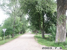 Sriubiskiu_a_viln_sriubis_016-97a8b9c5d4e2be7afeed0e642a322497.JPG
