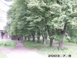 Sriubiskiu_a_viln_sriubis_021-056ea24944af00aabdcd2873524e18e6.JPG
