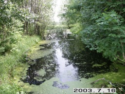 Stanislavavo_a_sven_stanislavav_073-77a0c8bdc78df50a59a67fc8ed8ae240.JPG